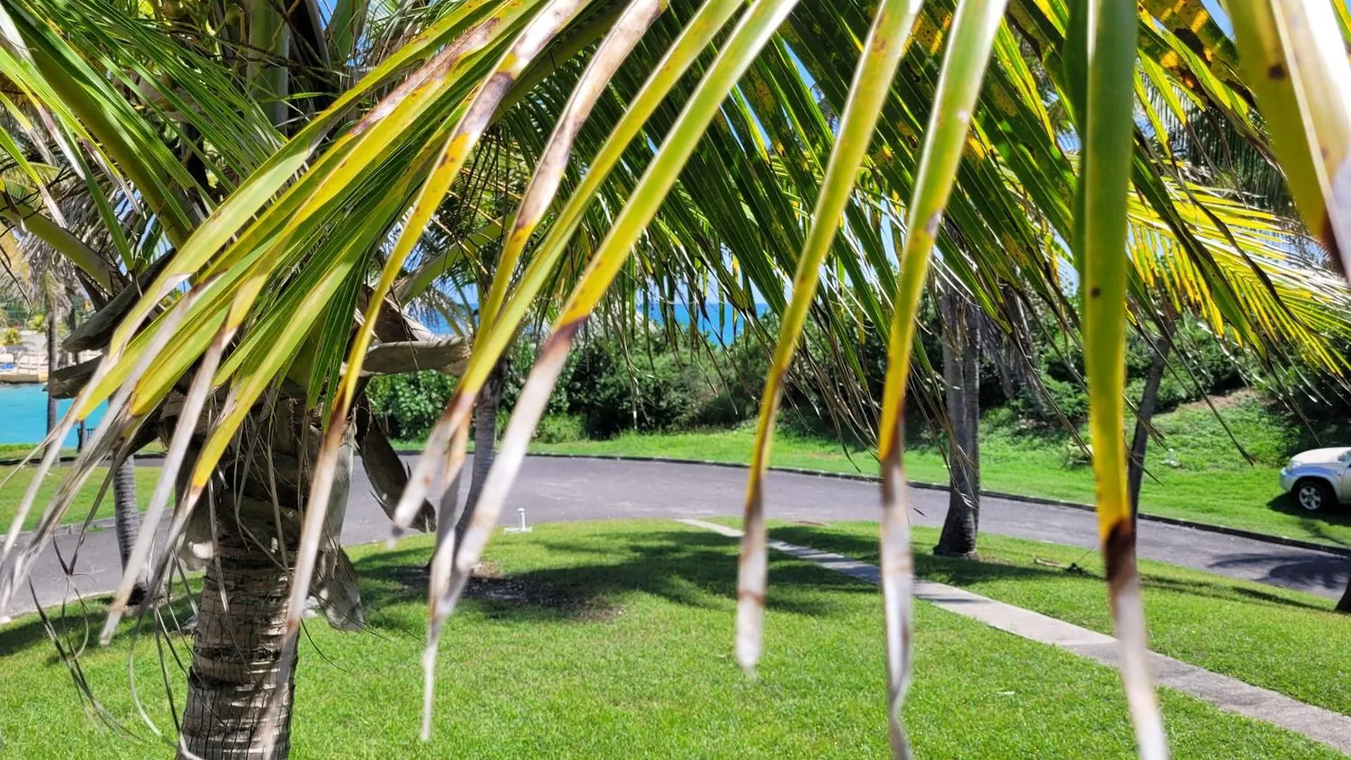 Studio Nikita Manganao, Appartement Standing Vue Mer Saint-Francois  0*, Saint-Francois (Grande-Terre) Guadeloupe